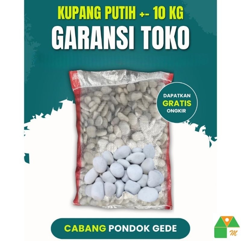 Batu Coral Kupang Putih Karung 10 Kg Koral Krikil Ukuran Kecil Sedang Besar