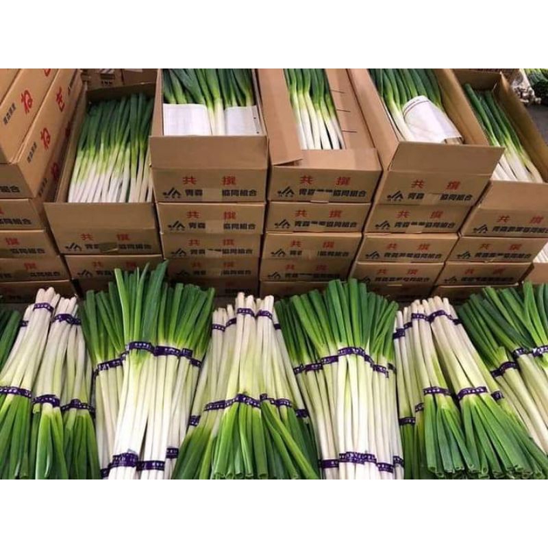 

✅[COD] bawang daun hanira fresh 500 gram