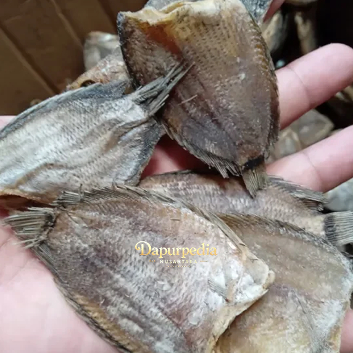 

Ikan Asin Sepat tembakang ikan asin bawan asli kalimantanTembakang - 100 gram