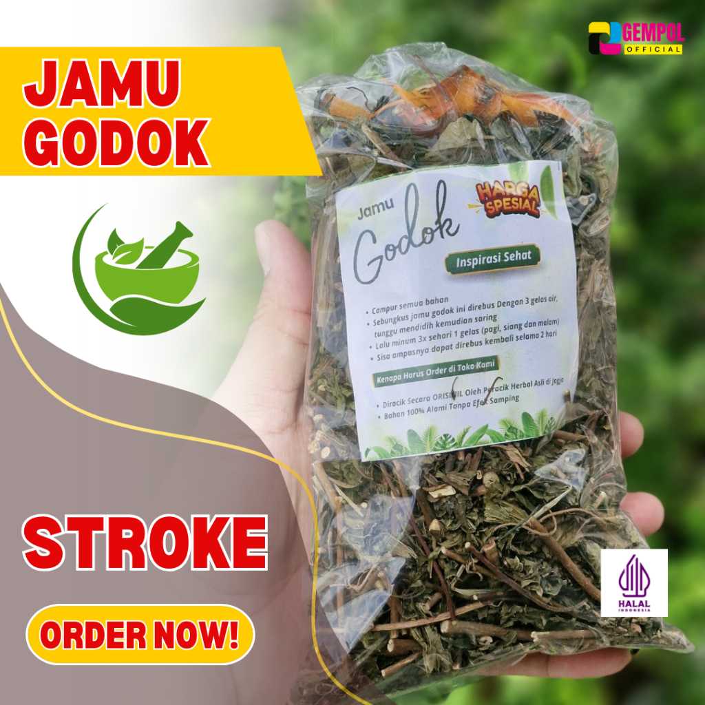 

STROKE RINGAN DAN BERAT JAMU GODOK SOLUSINYA / HERBAL JAMU STROKE