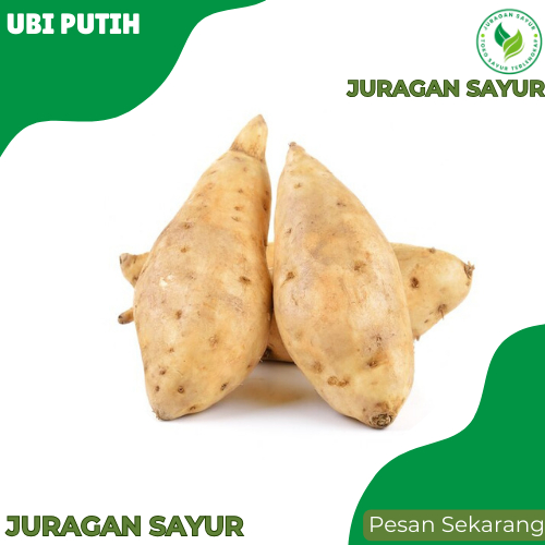 

Ubi Putih Manis - Ubi Putih Manis 1 kg Premiun Dan Segar - Juragan Sayur