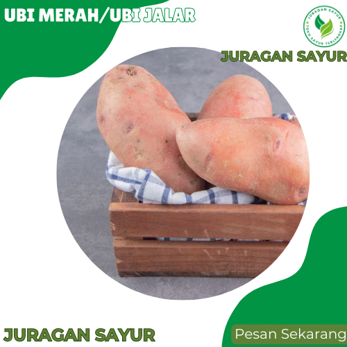 

Ubi Merah Manis - Ubi Merah 1 kg Segar - Ubi Cilembu - Juragan Sayur