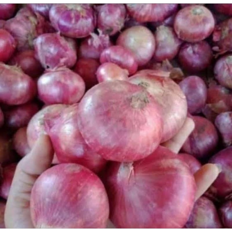 

BAWANG INDIA | 500 GRAM | MERAH | BESAR