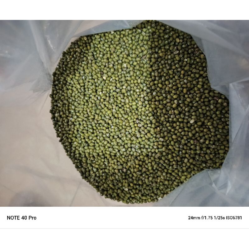 

kacang ijo super besar biasa buat bubur banyak sumber protein