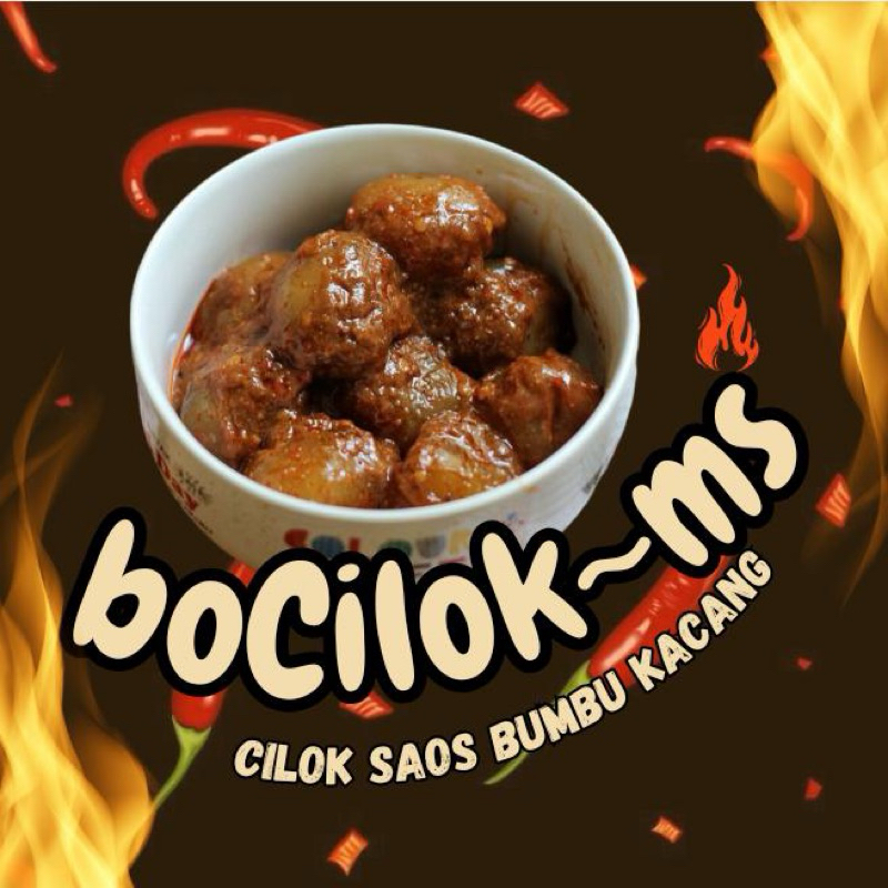 

boCILOK~ms