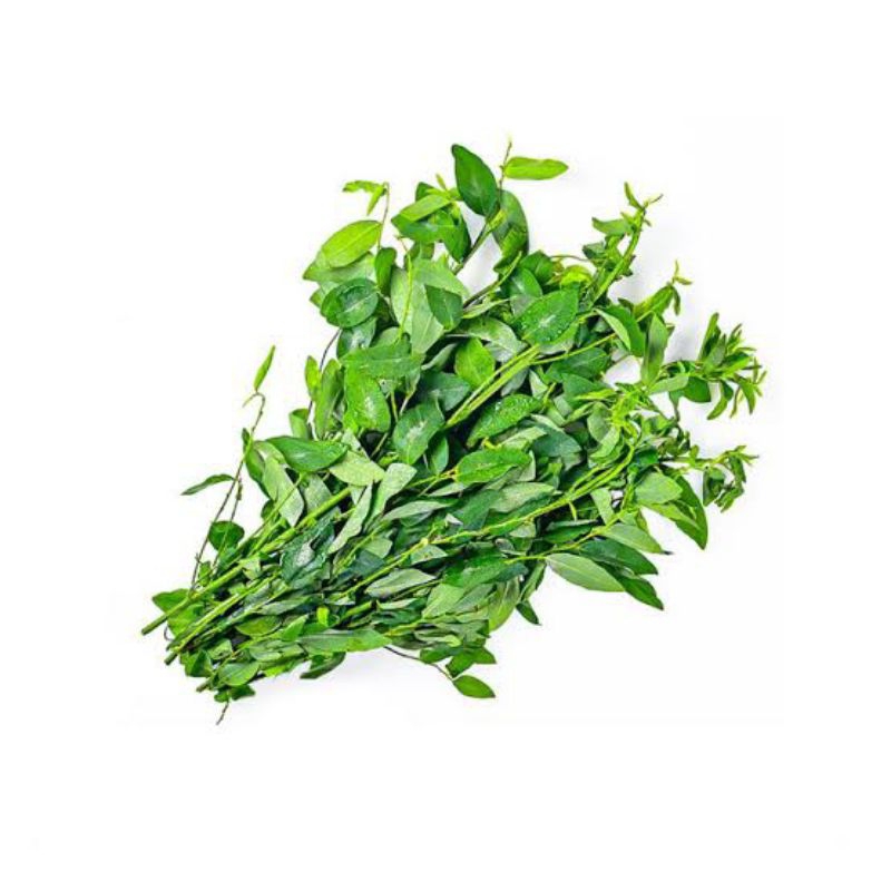 

Daun Katuk Segar Per Ikat Kecil