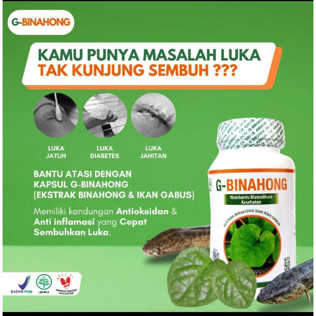 G-Binahong Original Kapsul Binahong plus Ikan Gabus kutuk Herbal Luka Diabetes Luka Pasca Operasi