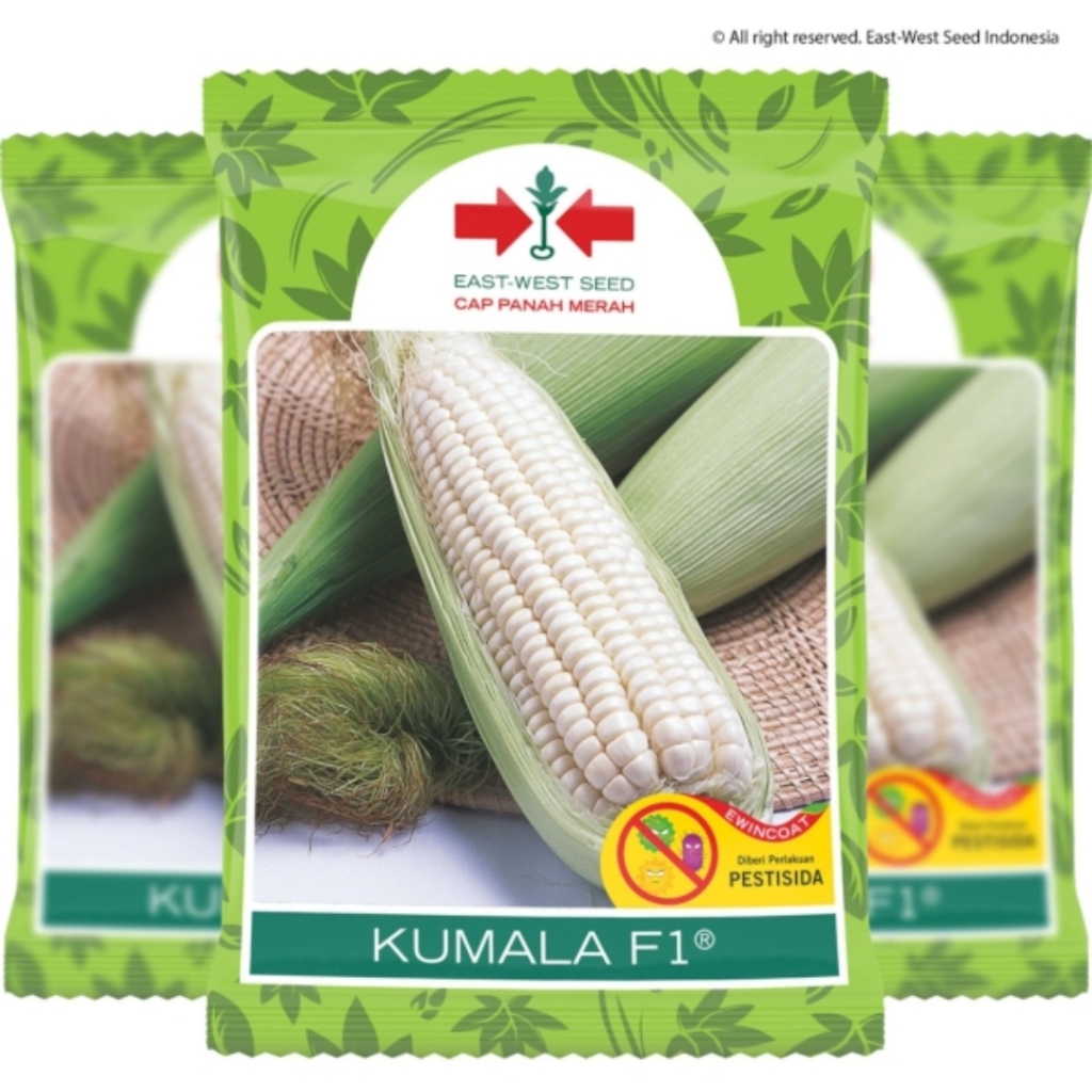 BENIH Jagung Pulut Kumala - ORI PANAH MERAH