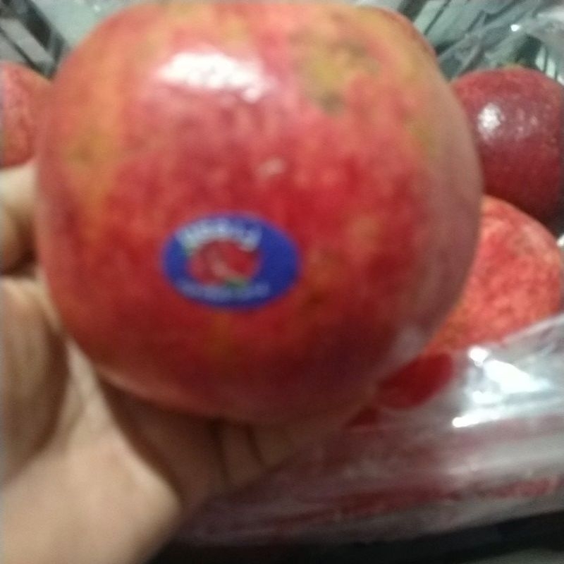 

Buah Delima Merah /Perbiji