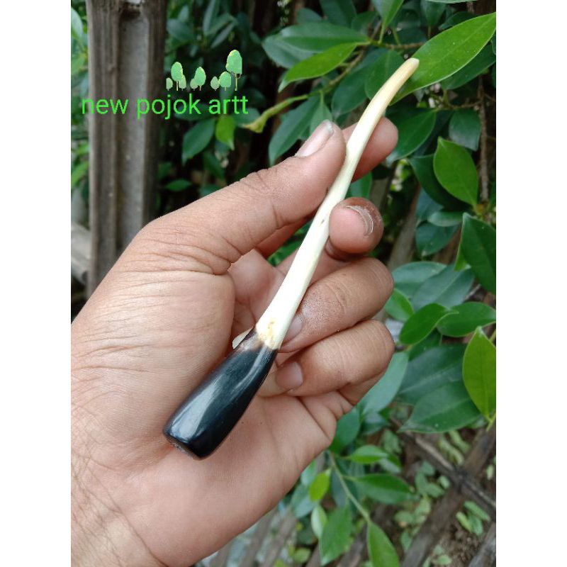 Once Pipa Cangklong Tulang Kalong super Original panjang Rasa Pulen Gurih