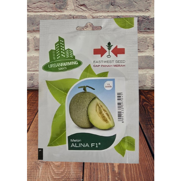 Benih Melon Hibrida ALINA F1