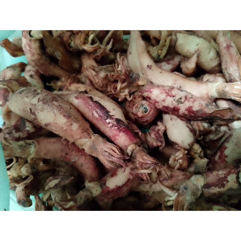 

Cumi asin 1 kg