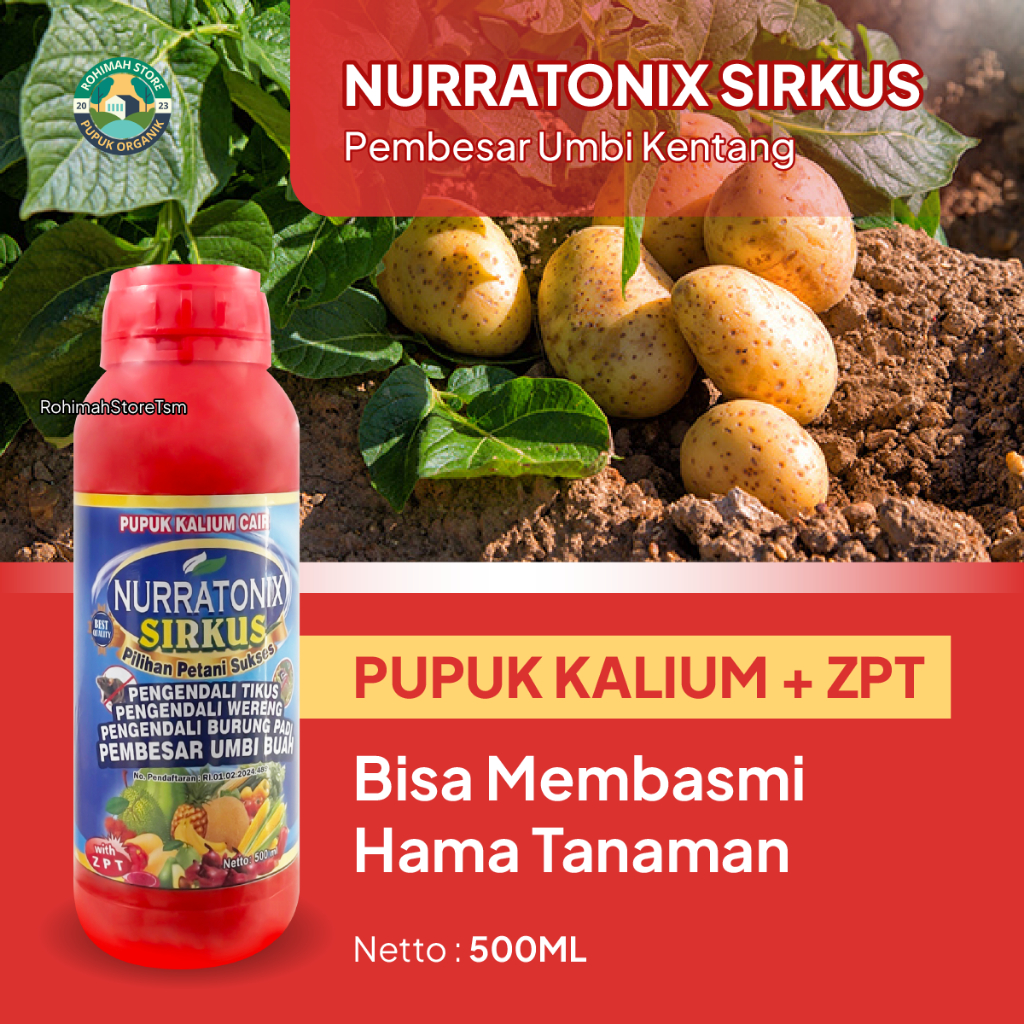 Pupuk Pembesar Umbi Kentang NURRATONIX SIRKUS 500ml Pupuk  Obat Pembesar Khusus Umbi Kentang - ZPT P