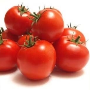 

TOMATO EXTRACT 20 ML