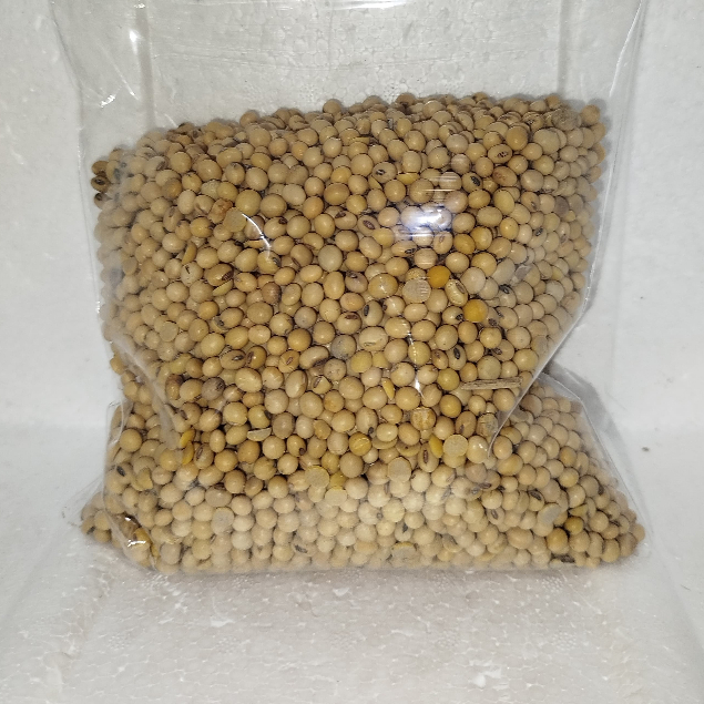 

Kacang Kedelai import, Kacang Keelai 1 KG/ Kacang Kedelai 1000 grm
