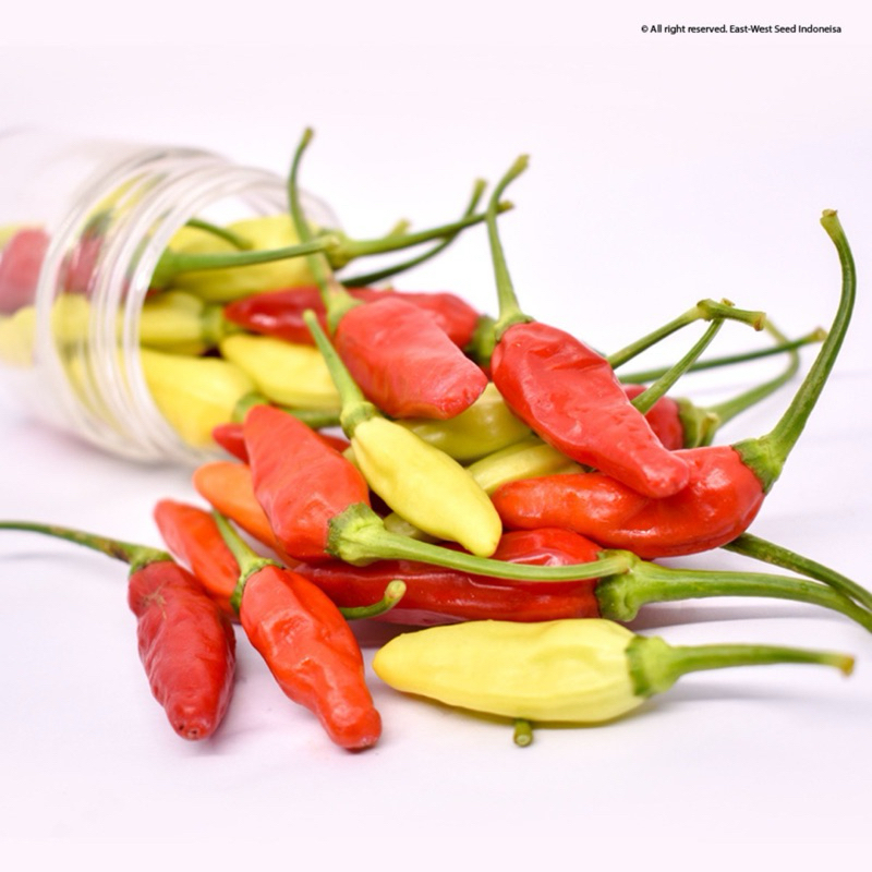 

CABAI MERAH KECIL SEGAR 250gr