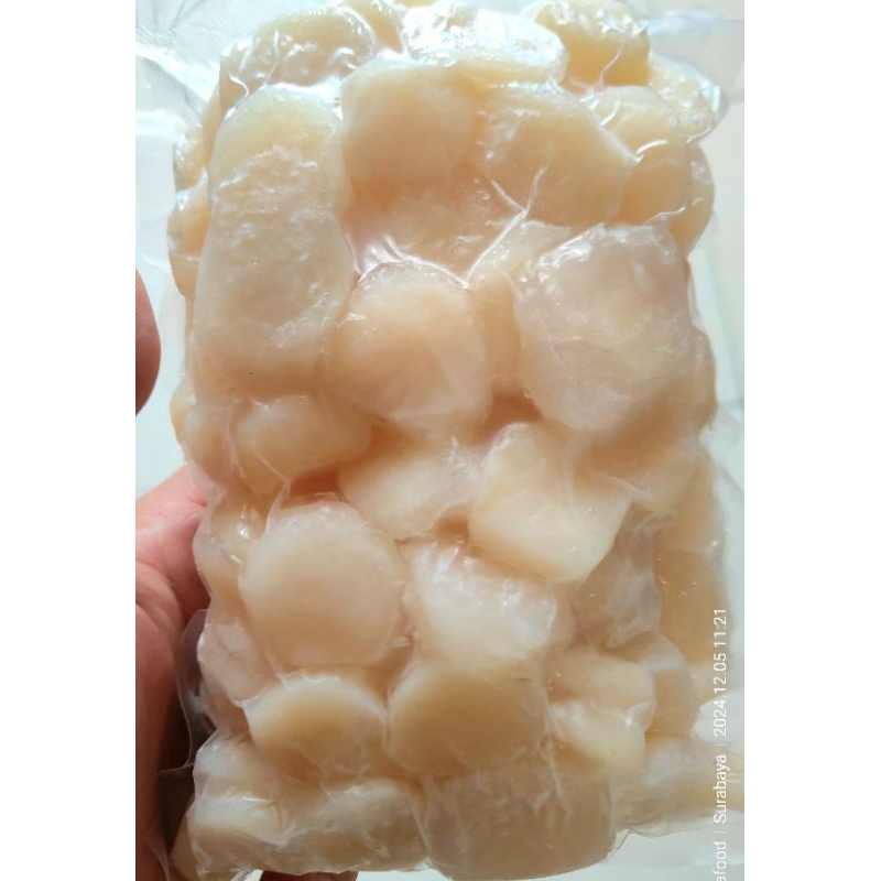 

Daging Scallop Frozen 500gram