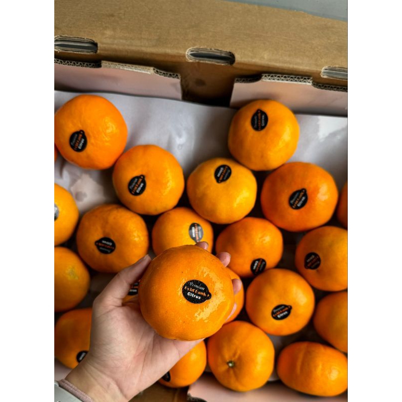 

Jeruk Murcot China (KG)
