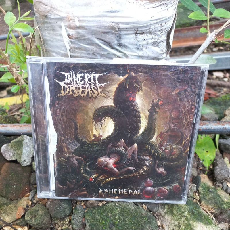 cd inherit disease - ephemeral