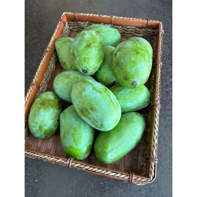 

DUTA BUAH SBY - Mangga Manalagi Madu / 1 kg