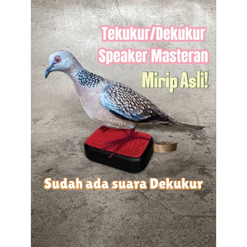 Patung Burung Dekukur + Speaker Masterak Suara Tekukur