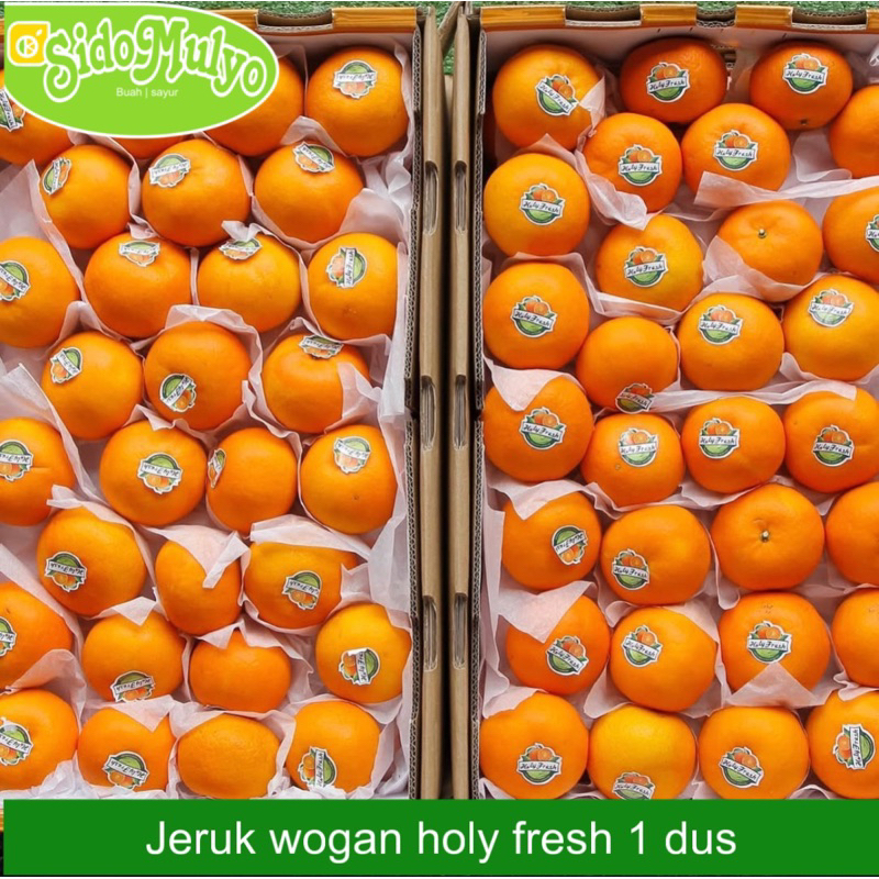 

Jeruk Wogan Holy fresh ( non biji ) 1 dus isi 9 kg | ud sidomulyo fresh