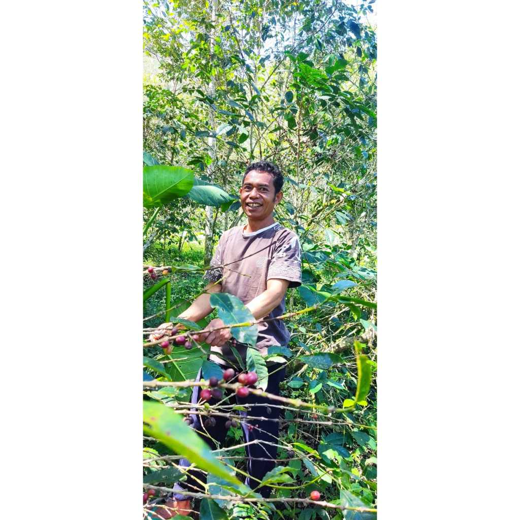 

Kopi Arabika Colol Farmer Pak Mesi 200 Gram