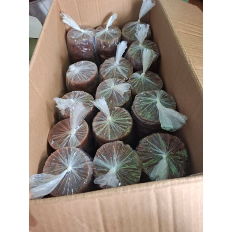 

HG Gula Aren Asli Pangandaran Jawa Barat Bungkus Daun 2kg