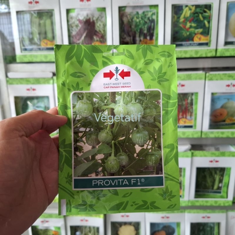Benih Terong Bulat / Terong Lalap PROVITA F1 isi 400 butir Cap Panah Merah