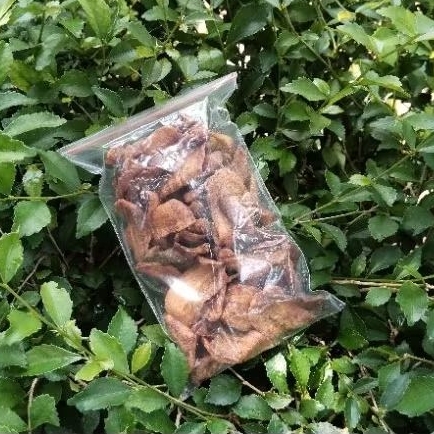 

Kerikip Saleh Pisang