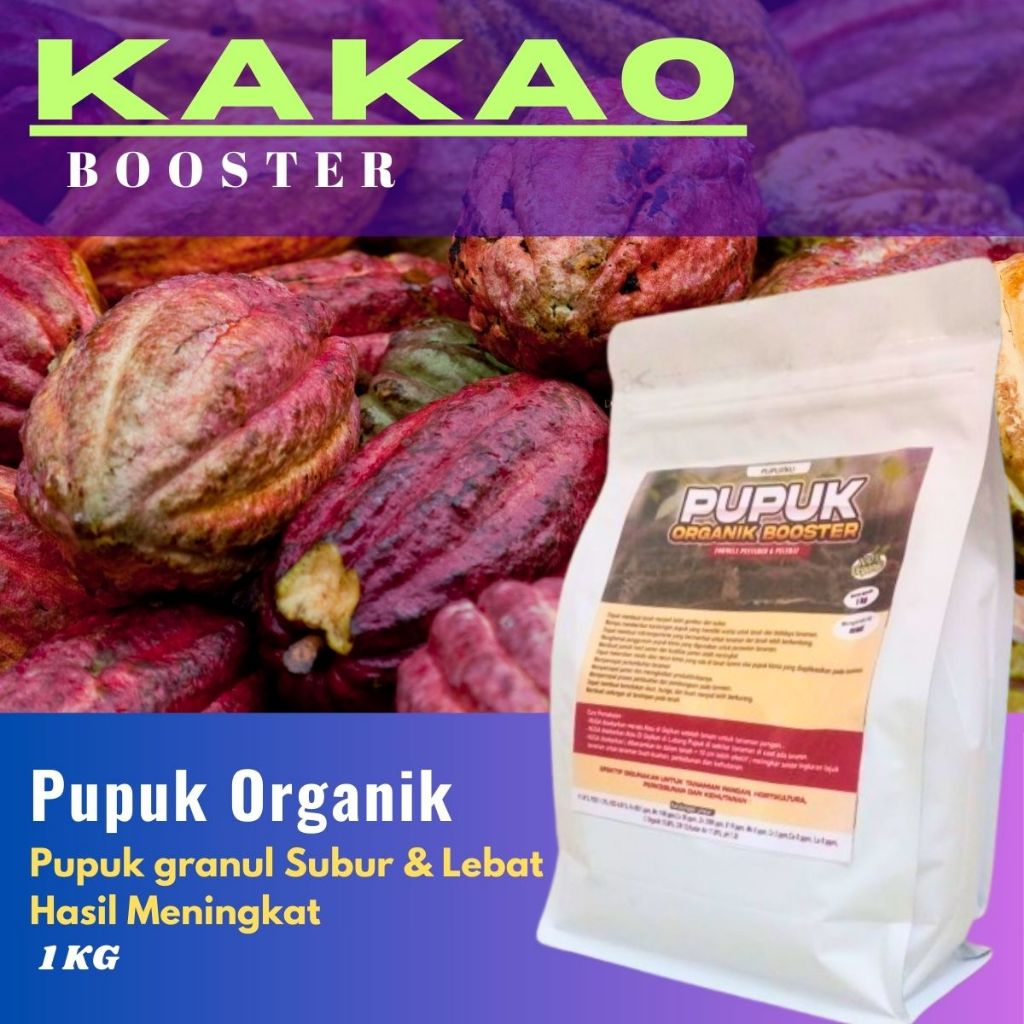 Pupuk Kakao Cepat Berbuah Lebat, Booster Pelebat Buah Kakao, Pupuk Organik Kakao Lebat