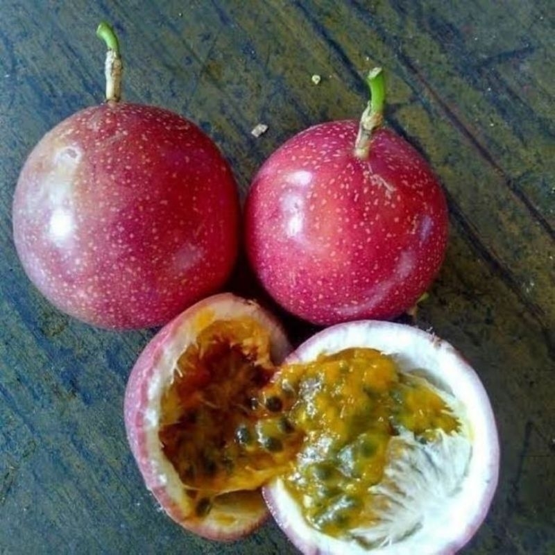 

MARKISA MURAH FRES 1KG
