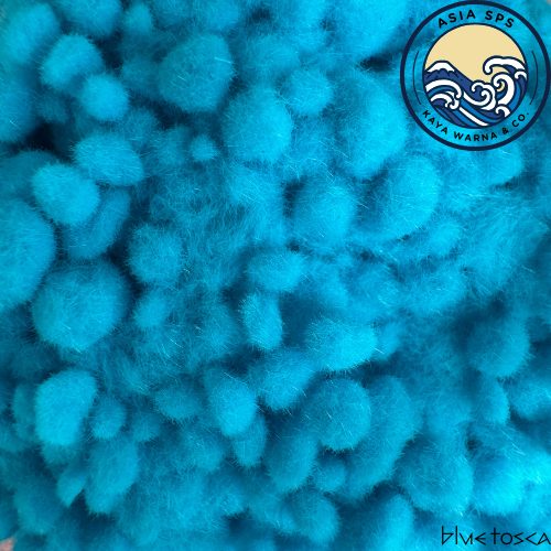 

Bubuk Beludru Flocking Powder Nylon Blue Tosca Serbuk Dekorasi (100g)