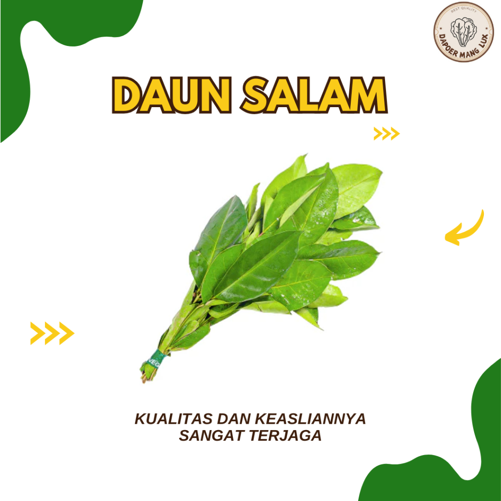 

DAUN SALAM BEST QUALITY