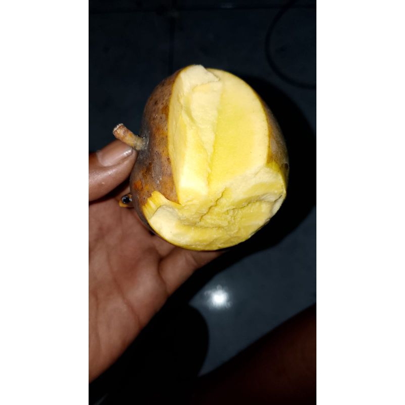 

Mangga Apel