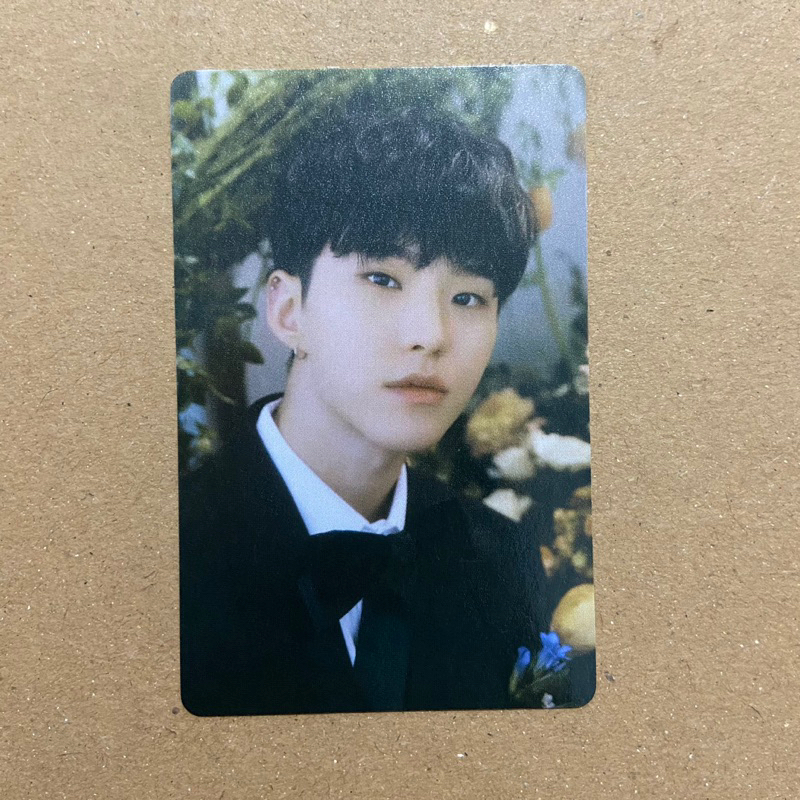 OFFICIAL PC HOSHI CARVER FML SEVENTEEN CARAT VERSION
