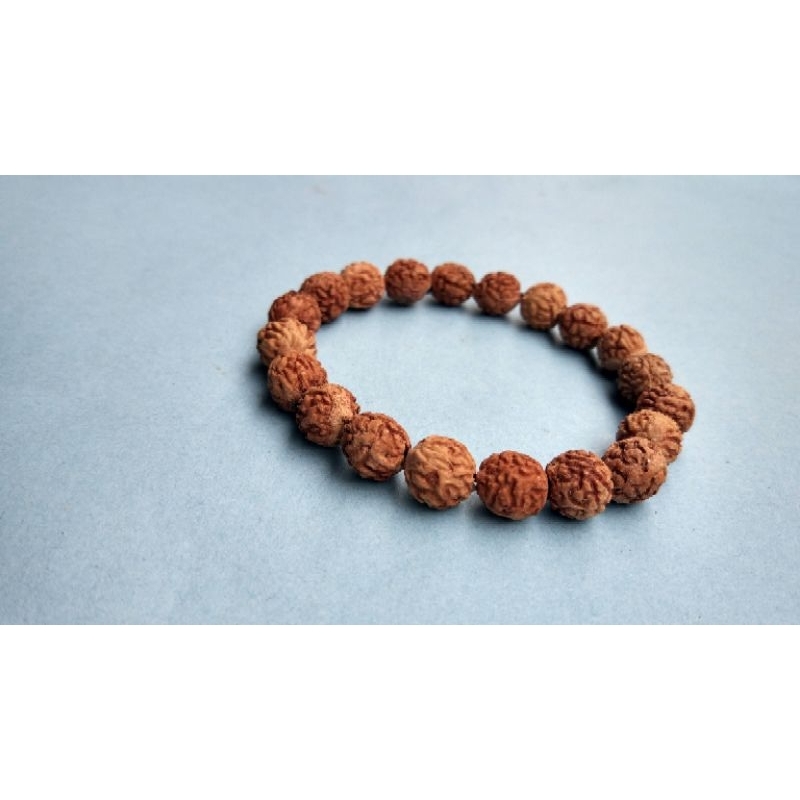 gelang biji buah Bidara asli