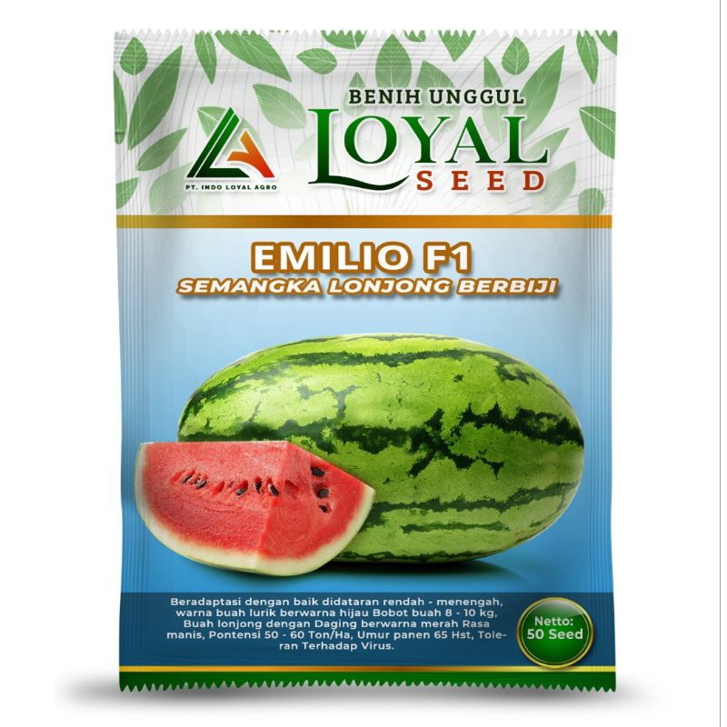 SEMANGKA LONJONG BERBIJI EMILIO F1 KEMASAN 50 BUTIR CAP LOYAL SEED BIBIT SEMANGKA DRAGON SEMANGKA SA