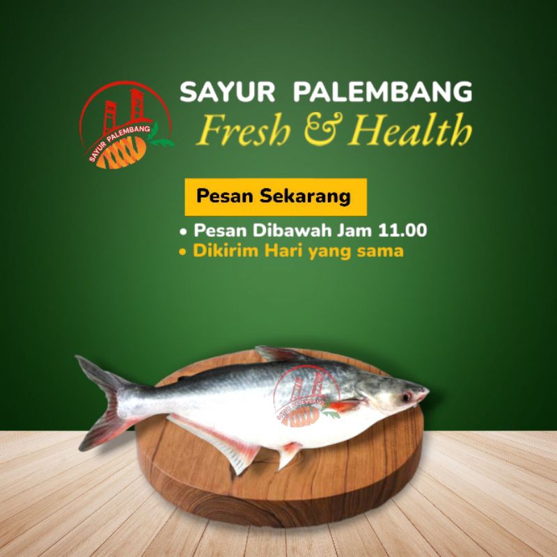 

Ikan Patin 1Kg - Sayur Palembang