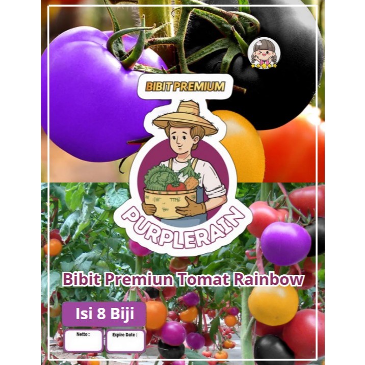 Bibit Premium Tomat Pelangi Bonsai | Benih Tomat Rainbow Bonsai