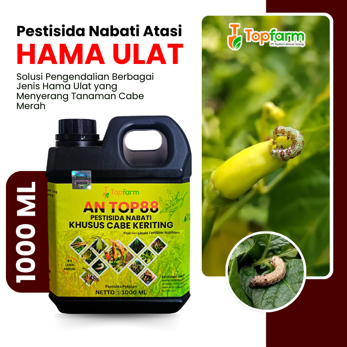 Pestisida Topfarm / Obat Busuk Kering Cabe Merah / Obat Keriting Pada Daun Cabai / Obat Cabai Keriti