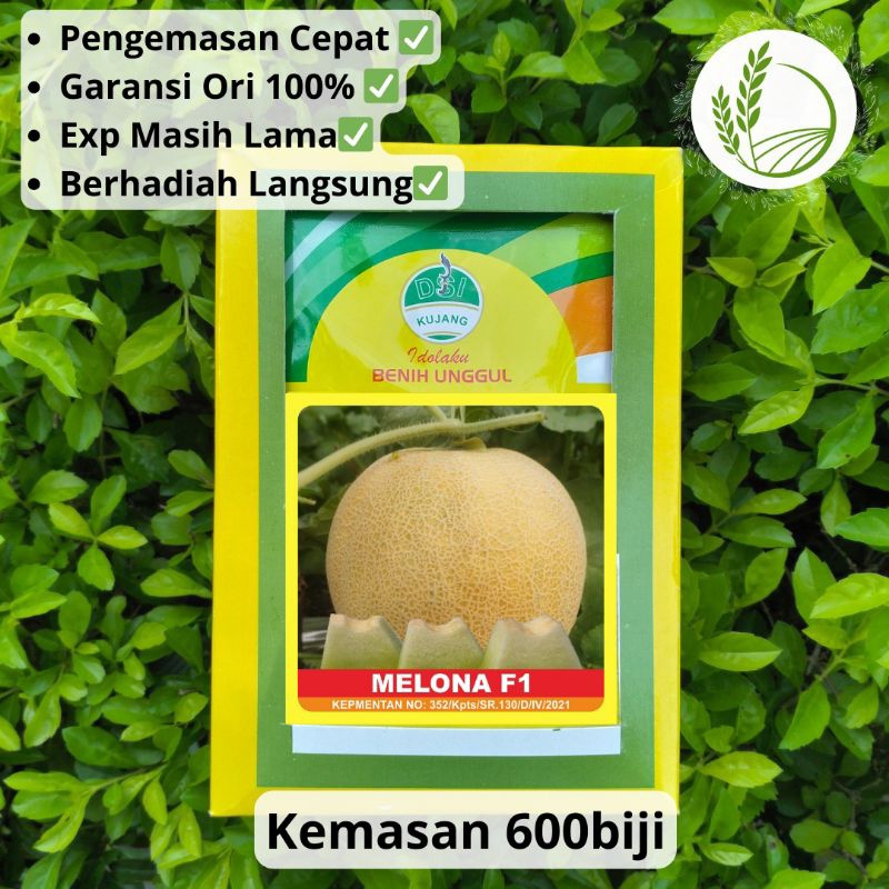 Promo Diskon Benih Melon Tahan virus Melona F1 Cap Kujang kemasan 600 biji