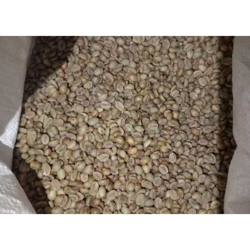 

Robusta Asalan kerinci jambi