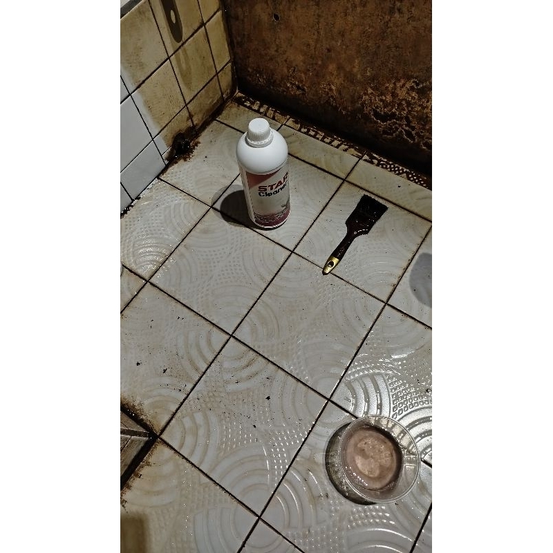 kenanga kenanga