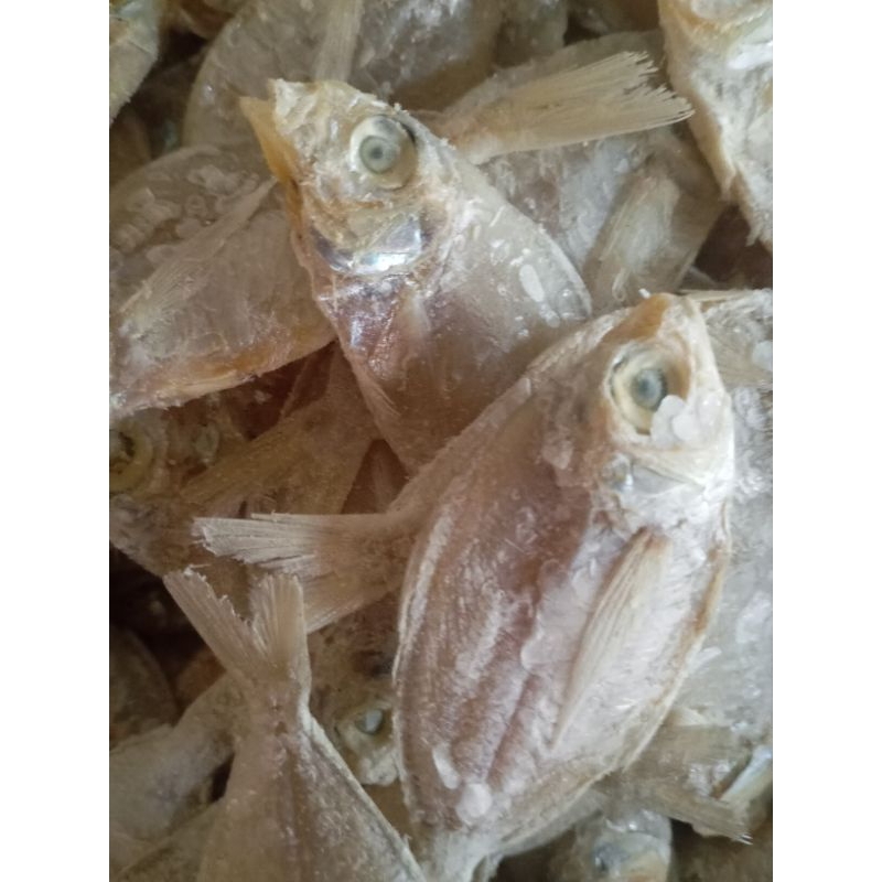 

ikan asin kapasan 250gram-ikan kering super