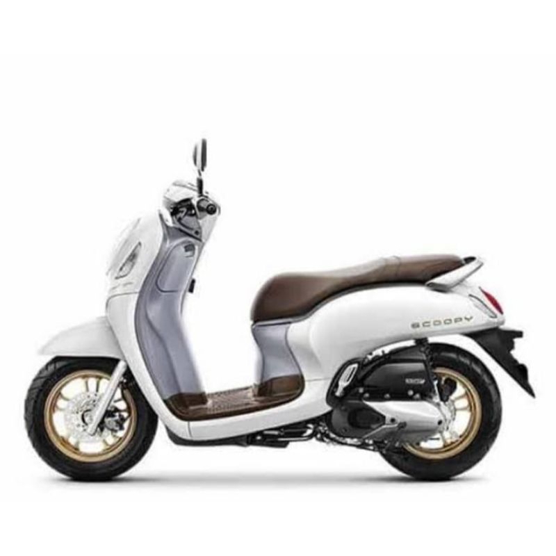 CAT WHITE DOFF SCOOPY