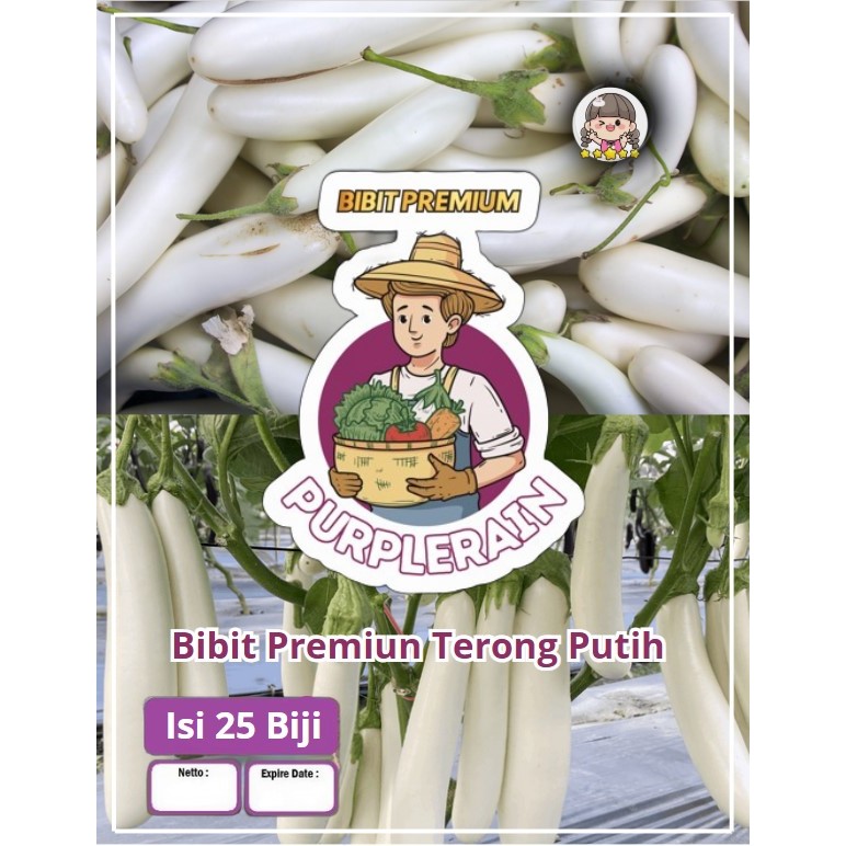Bibit Premium Terong Putih | Benih Terong Putih