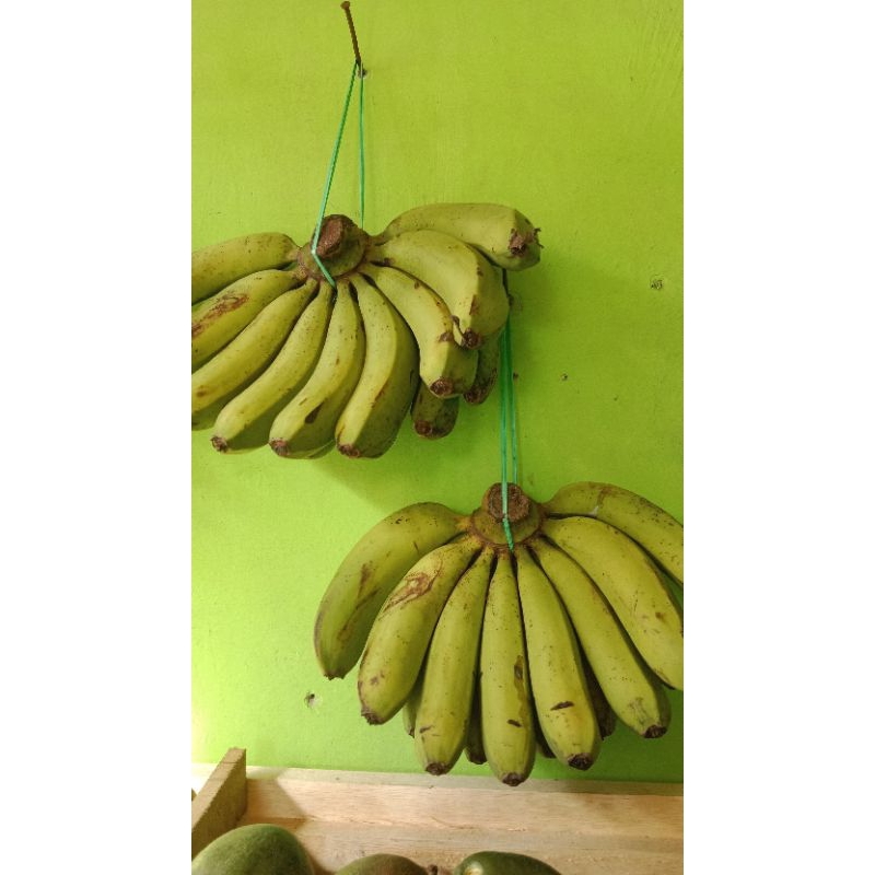 

Pisang Ambon Lumut