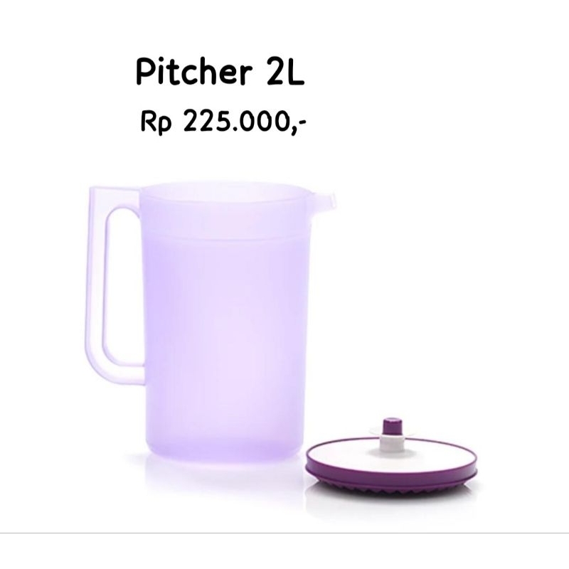 Pitcher 2L ungu hydra