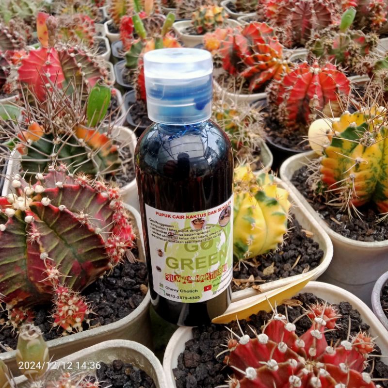 pupuk cair untuk kaktus dan sukulen ( mengandung ZPT, zat  pengatur tumbuh)